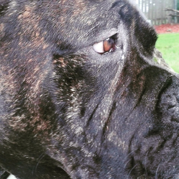 Meet your Posher, Carrie - Picture 5 of 11